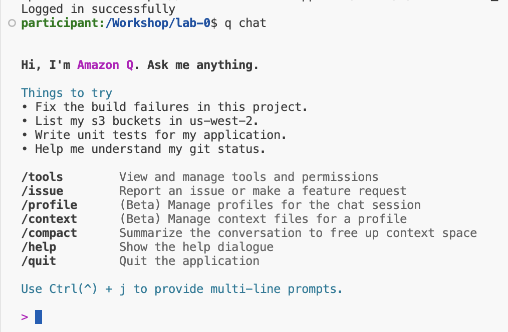 Amazon Q Developer Code Challenge!